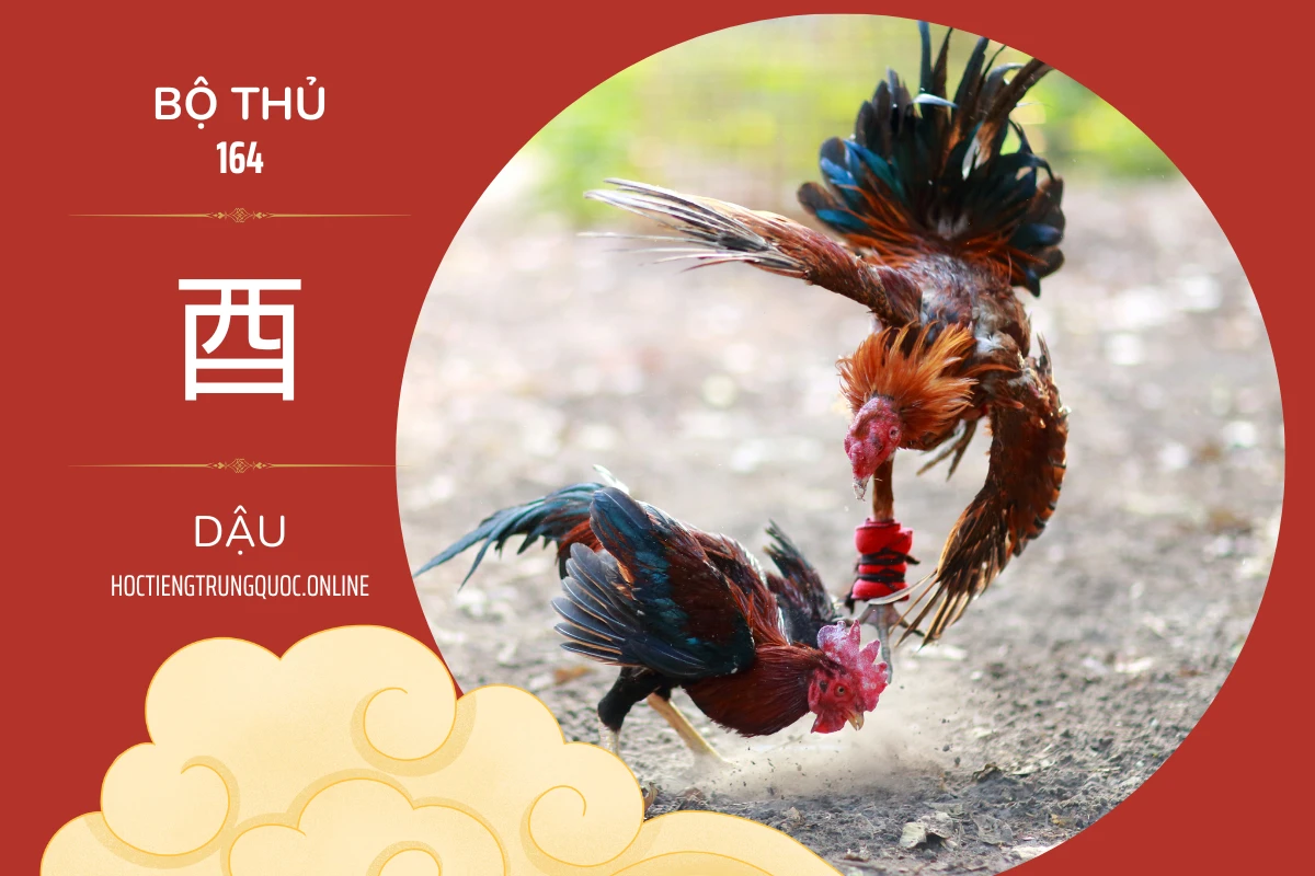 214 bộ thủ Bộ thủ 164 酉 DẬU