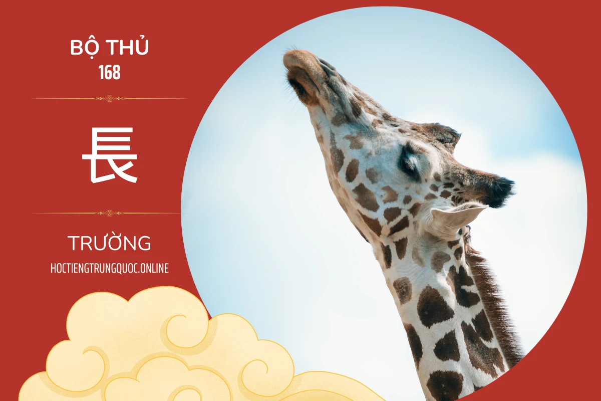 214 bộ thủ Bộ thủ 168 長 TRƯỜNG