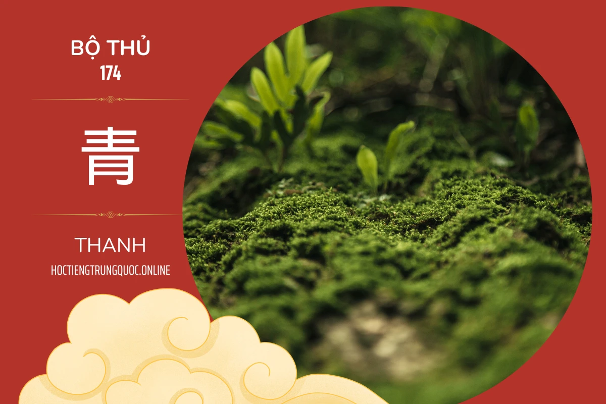 214 bộ thủ Bộ thủ 174 青 THANH