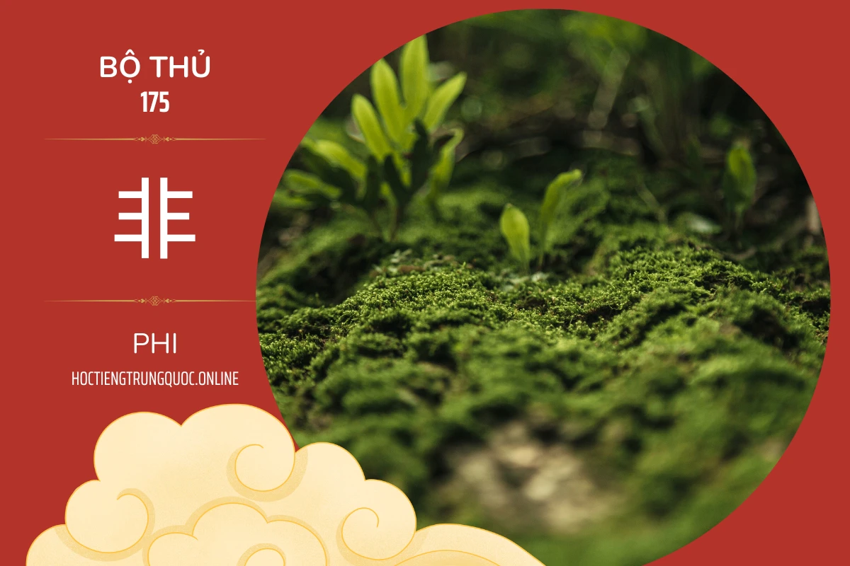 214 bộ thủ Bộ thủ 175 非 PHI