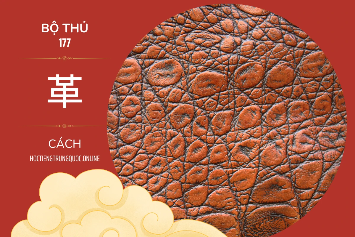 214 bộ thủ Bộ thủ 177 革 CÁCH