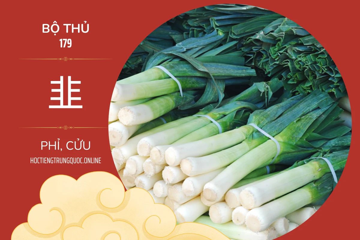 214 bộ thủ Bộ thủ 179 韭 PHỈ CỬU