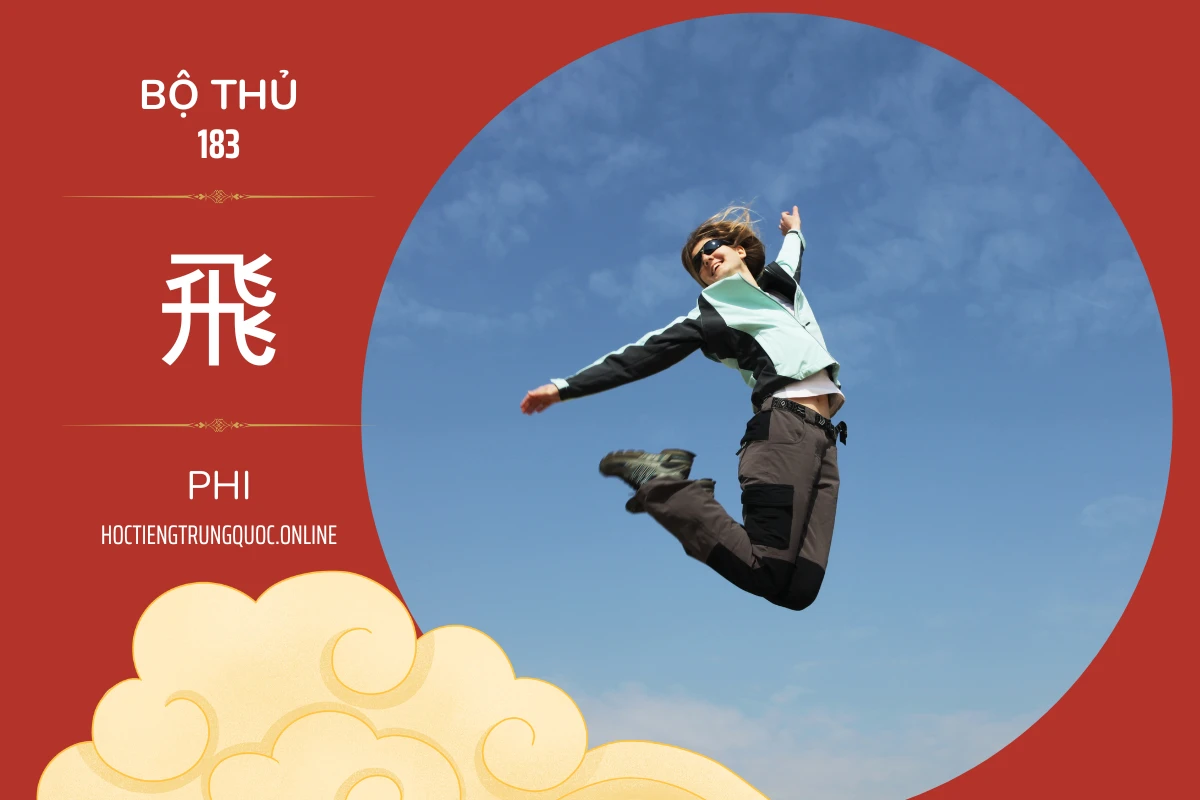 214 bộ thủ Bộ thủ 183 飛 PHI