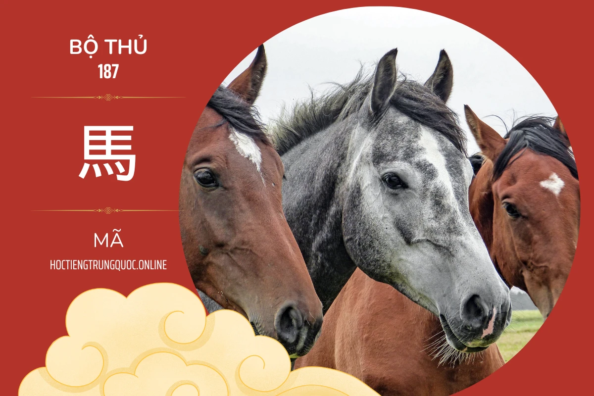 214 bộ thủ Bộ thủ 187 馬 MÃ