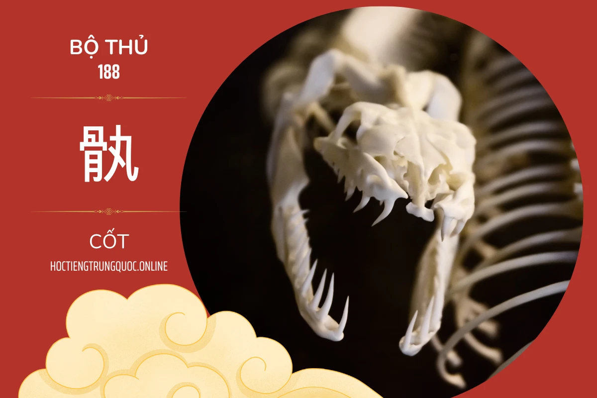 214 bộ thủ Bộ thủ 188 骫 CỐT