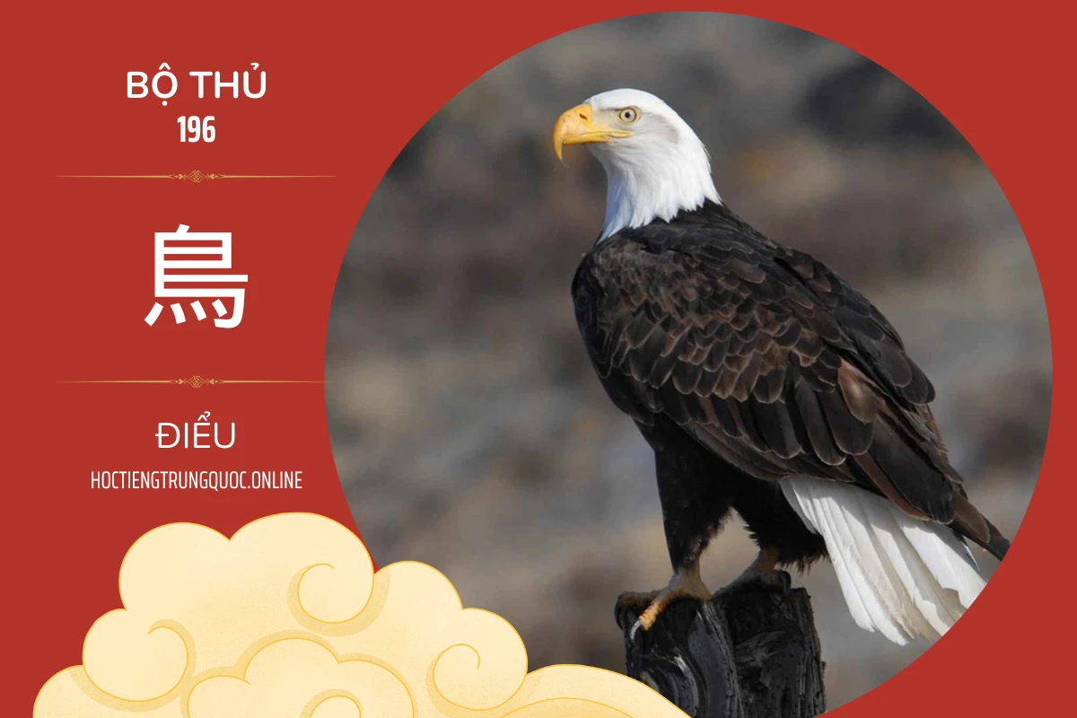 214 bộ thủ Bộ thủ 196 鳥 ĐIỂU