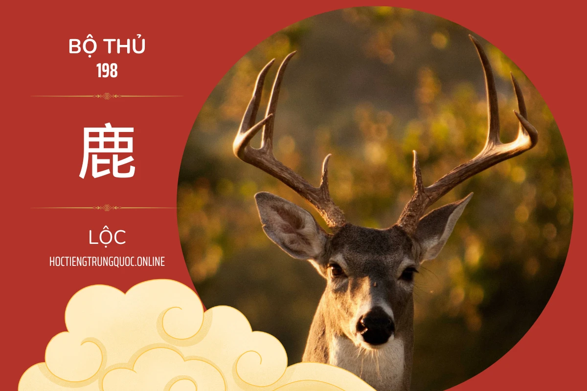 214 bộ thủ Bộ thủ 198 鹿 LỘC