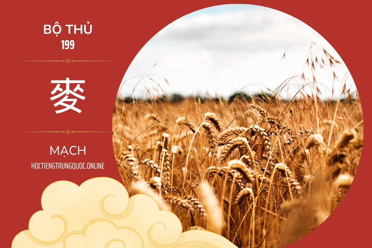 214 bộ thủ Bộ thủ 199 麥 MẠCH