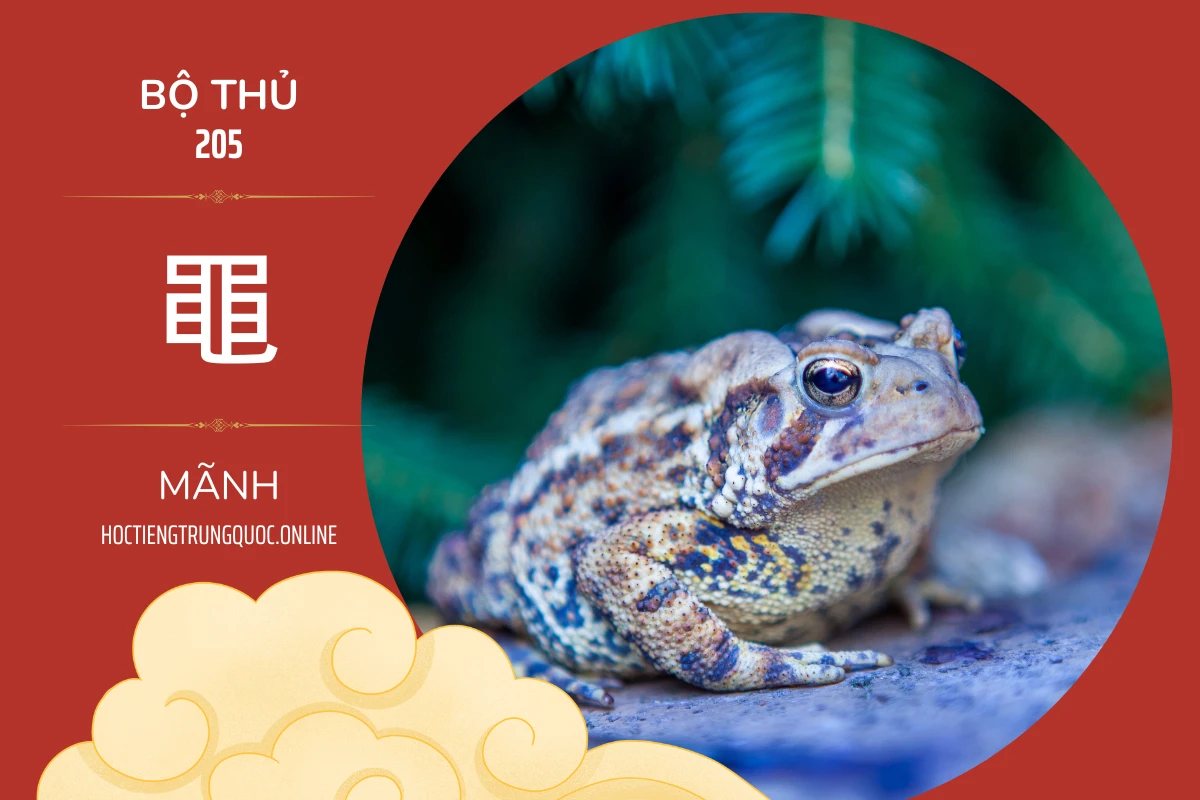 214 bộ thủ Bộ thủ 205 黽 MÃNH