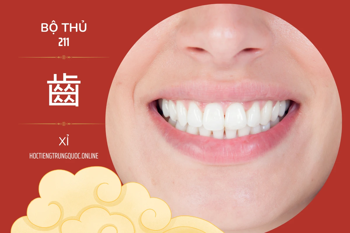 214 bộ thủ Bộ thủ 211 齒 XỈ