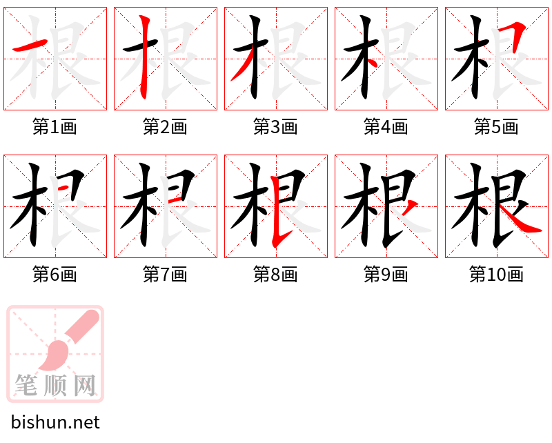 根 根