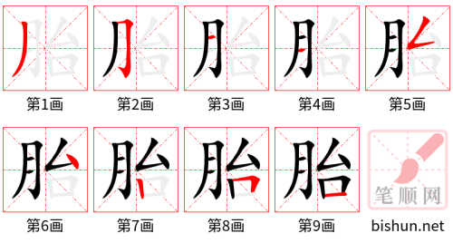 4202 - 双胞胎 - HSK6 - Từ điển tam ngữ 5099 từ vựng HSK 1-6 4202 - 双胞胎 - HSK6 - Từ điển tam ngữ 5099 từ vựng HSK 1-6