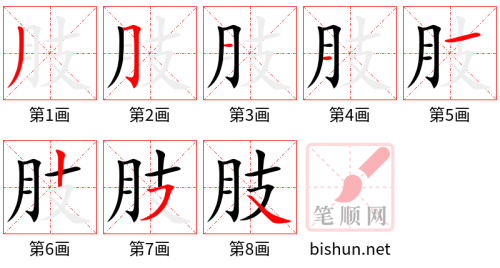 4216 - 四肢 - HSK6 - Từ điển tam ngữ 5099 từ vựng HSK 1-6 4216 - 四肢 - HSK6 - Từ điển tam ngữ 5099 từ vựng HSK 1-6