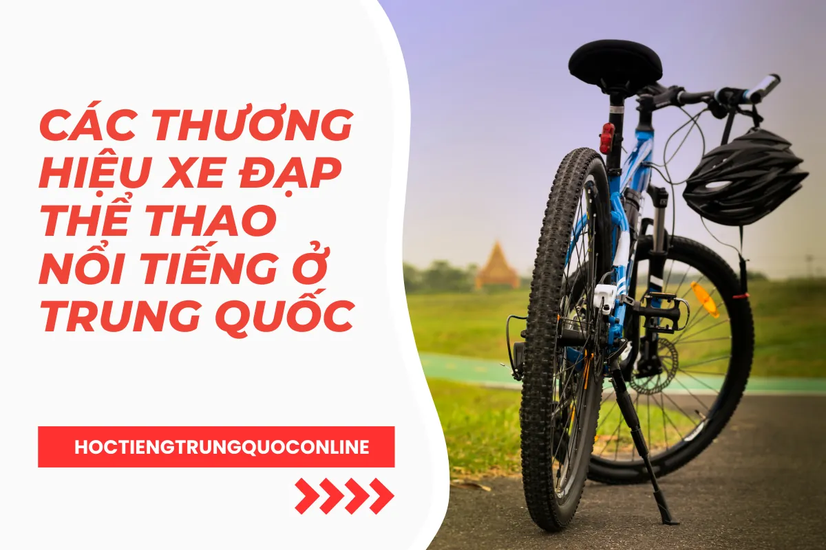 Các thương hiệu xe đạp thể thao nổi tiếng ở Trung Quốc