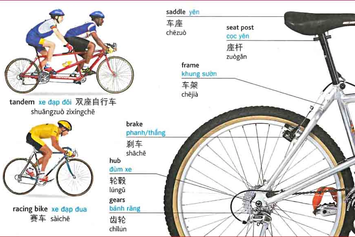 Tổng hợp các từ vựng Tiếng Trung chủ đề xe đạp phổ biến Tổng hợp các từ vựng Tiếng Trung chủ đề xe đạp phổ biến