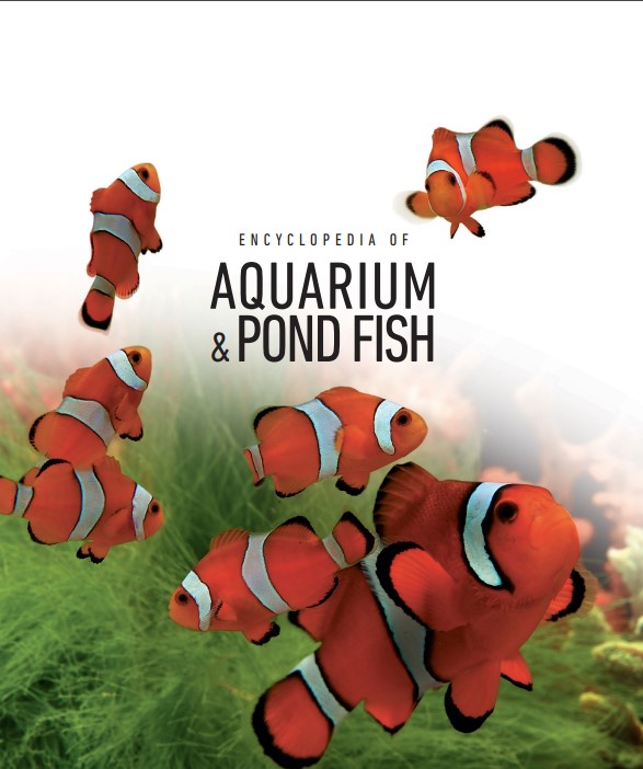 [Ebook] Encyclopedia of Aquarium & Pond Fish - David Alderton (Photo by Max Gibbs)