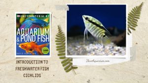 [Ebook] Encyclopedia of Aquarium & Pond Fish - Directory of Freshwater Fish - Cichlids