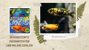 [Ebook] Encyclopedia of Aquarium & Pond Fish - Directory of Freshwater Fish - Cichlids - Lake Malawi cichlids