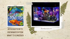 [Ebook] Encyclopedia of Aquarium & Pond Fish - Introduction to Marine Fish - What to consider