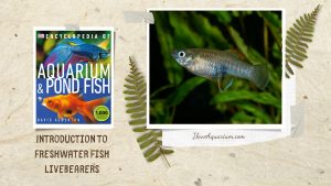 [Ebook] Encyclopedia of Aquarium & Pond Fish - Directory of Freshwater Fish - Livebearers