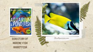 [Ebook] Encyclopedia of Aquarium & Pond Fish - Directory of Marine Fish - Rabbitfish