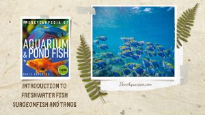 [Ebook] Encyclopedia of Aquarium & Pond Fish - Directory of Marine Fish - Surgeonfish and tangs