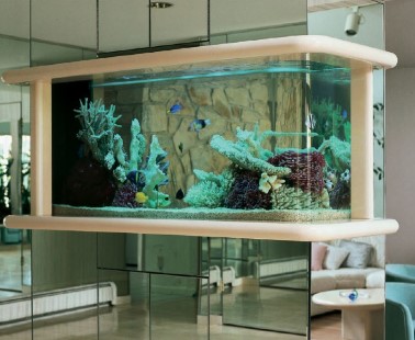 Marine home aquariums, such as this centerpiece by Aquarium Design, have become extremely popular in recent years but are harder to establish than freshwater tanks.