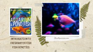 [Ebook] Encyclopedia of Aquarium & Pond Fish - Introduction to Freshwater Fish - Breeding - Fish genetics