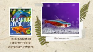 [Ebook] Encyclopedia of Aquarium & Pond Fish - Introduction to Freshwater Fish - Setting up the tank - Checking the water