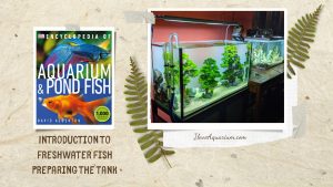 [Ebook] Encyclopedia of Aquarium & Pond Fish - Introduction to Freshwater Fish - Setting up the tank - Preparing the tank