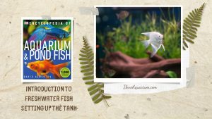 [Ebook] Encyclopedia of Aquarium & Pond Fish - Introduction to Freshwater Fish - Setting up the tank - Choosing the tank