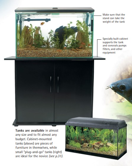 Tanks are available in almost any size and to fit almost any budget. Cabinet-mounted tanks (above) are pieces of furniture in themselves, while small “plug-and-go“ tanks (right) are ideal for the novice (see p.31).
