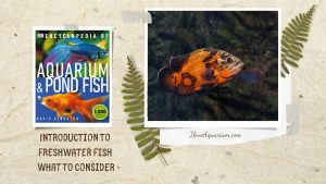 [Ebook] Encyclopedia of Aquarium & Pond Fish - Introduction to Freshwater Fish - What to consider