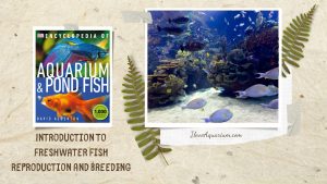 [Ebook] Encyclopedia of Aquarium & Pond Fish - Introduction to Marine Fish - Breeding - Reproduction and breeding