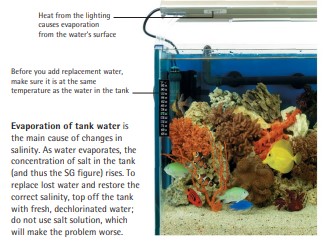 Evaporation of tank water is the main cause of changes in salinity. As water evaporates, the concentration of salt in the tank (and thus the SG figure) rises. To replace lost water and restore the correct salinity, top off the tank with fresh, dechlorinated water; do not use salt solution, which will make the problem worse.