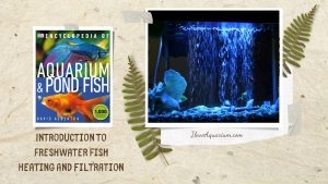 [Ebook] Encyclopedia of Aquarium & Pond Fish - Introduction to Marine Fish - Setting up the tank - Heating and filtration
