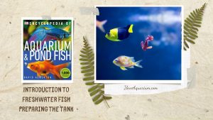 [Ebook] Encyclopedia of Aquarium & Pond Fish - Introduction to Marine Fish - Setting up the tank - Preparing the tank