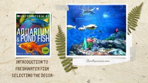 [Ebook] Encyclopedia of Aquarium & Pond Fish - Introduction to Marine Fish - Setting up the tank - Selecting the decor
