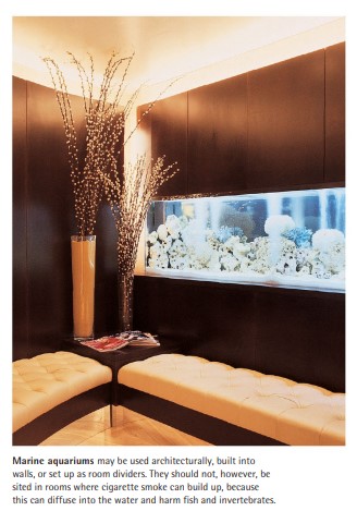 Marine aquariums may be used architecturally, built into walls, or set up as room dividers. They should not, however, be sited in rooms where cigarette smoke can build up, because this can diffuse into the water and harm fish and invertebrates.
