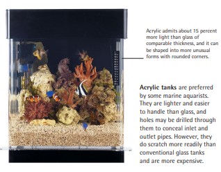 Acrylic admits about 15 percent more light than glass of comparable thickness, and it can be shaped into more unusual forms with rounded corners. - Acrylic tanks are preferred by some marine aquarists. They are lighter and easier to handle than glass, and holes may be drilled through them to conceal inlet and outlet pipes. However, they do scratch more readily than conventional glass tanks and are more expensive.