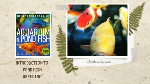 [Ebook] Encyclopedia of Aquarium & Pond Fish - Introduction to Pond Fish - Breeding - Breeding
