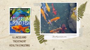 [Ebook] Encyclopedia of Aquarium & Pond Fish - Introduction to Pond Fish - Illness and treatment - Health concerns