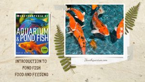 [Ebook] Encyclopedia of Aquarium & Pond Fish - Introduction to Pond Fish - Maintenance - Food and feeding