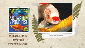 [Ebook] Encyclopedia of Aquarium & Pond Fish - Introduction to Pond Fish - Maintenance - Pond management