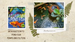 [Ebook] Encyclopedia of Aquarium & Pond Fish - Introduction to Pond Fish - Setting up the pond - Pumps and filters