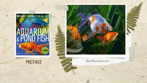 [Ebook] Encyclopedia of Aquarium & Pond Fish - Preface