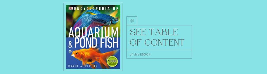 [Ebook] Encyclopedia of Aquarium & Pond Fish – David Alderton (Photo by Max Gibbs)