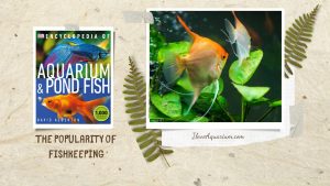 [Ebook] Encyclopedia of Aquarium & Pond Fish - Introduction to FISHKEEPING - The popularity of fishkeeping