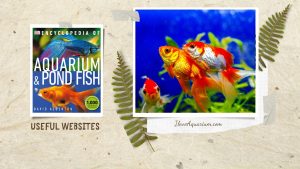 [Ebook] Encyclopedia of Aquarium & Pond Fish - Useful websites