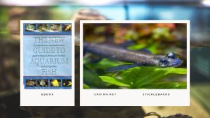 [Ebook] The New Guide to Aquarium Fish - Brackish Water Fishes - Four-eyed Fishes